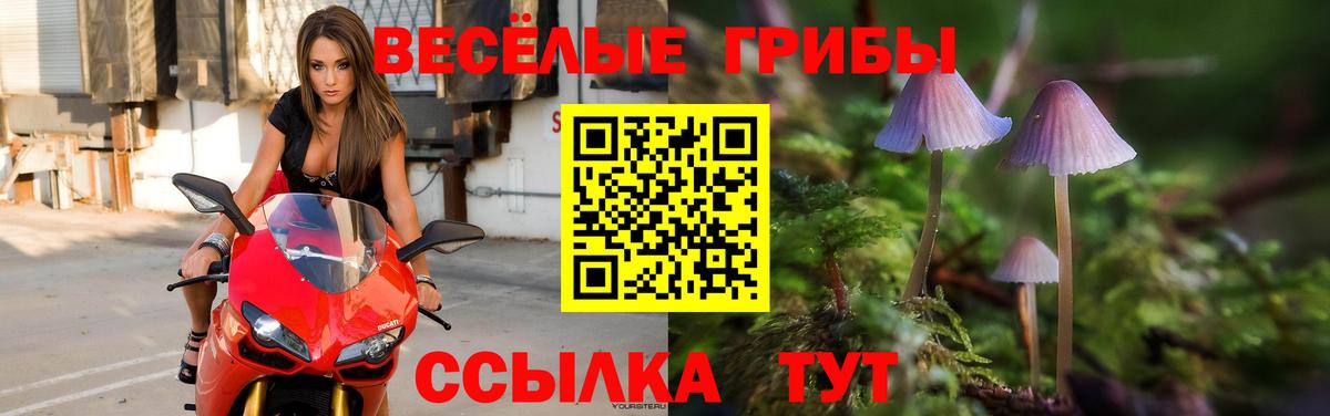 Павловский Посад  Галлюциногенные грибы прущие грибы  Вход с VPN 